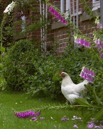 Foto im Garten der Familie Mährlein